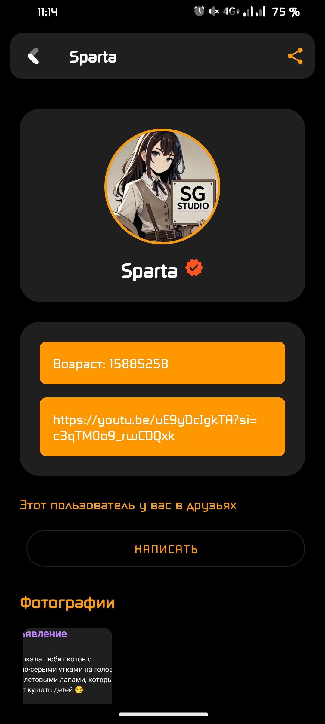 Профиль пользователя